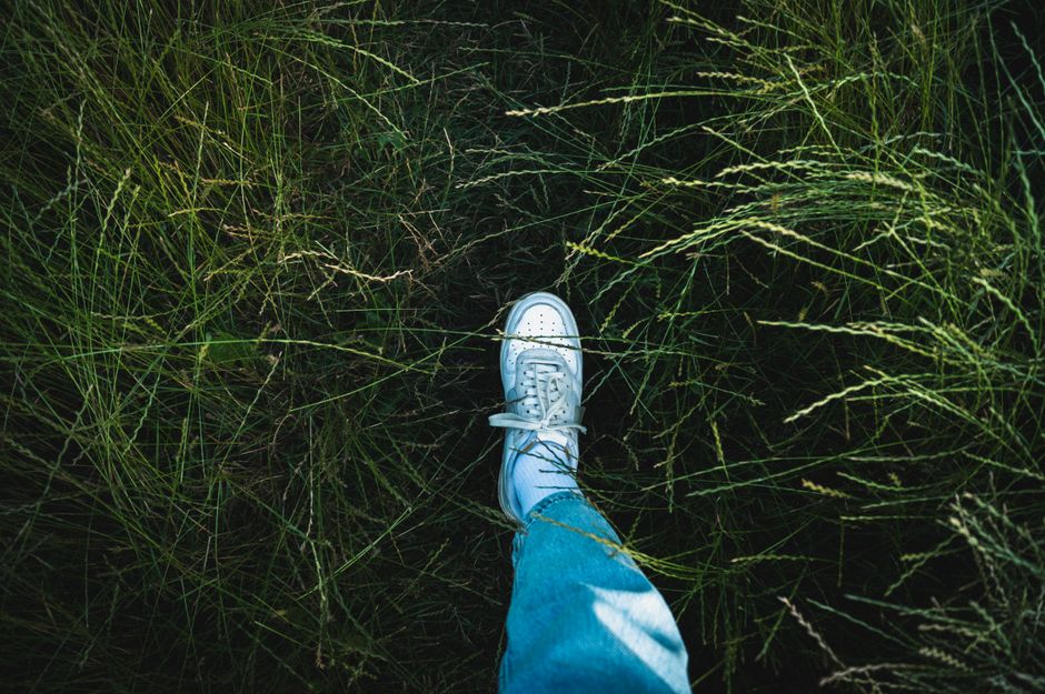 Easy walk